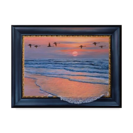 Trademark Fine Art Harro Maass 'Sundown With Swans' Canvas Art, 24x32 ALI35681-C2432GG